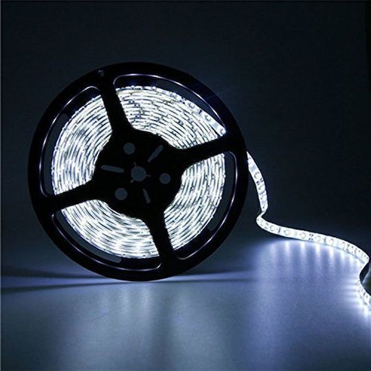 ΤΑΙΝΙΑ LED 5M SMD5050 ΛΕΥΚΟ ΦΩΣ – ΦΩΤΙΣΜΟΣ LED ΤΑΙΝΙΑ