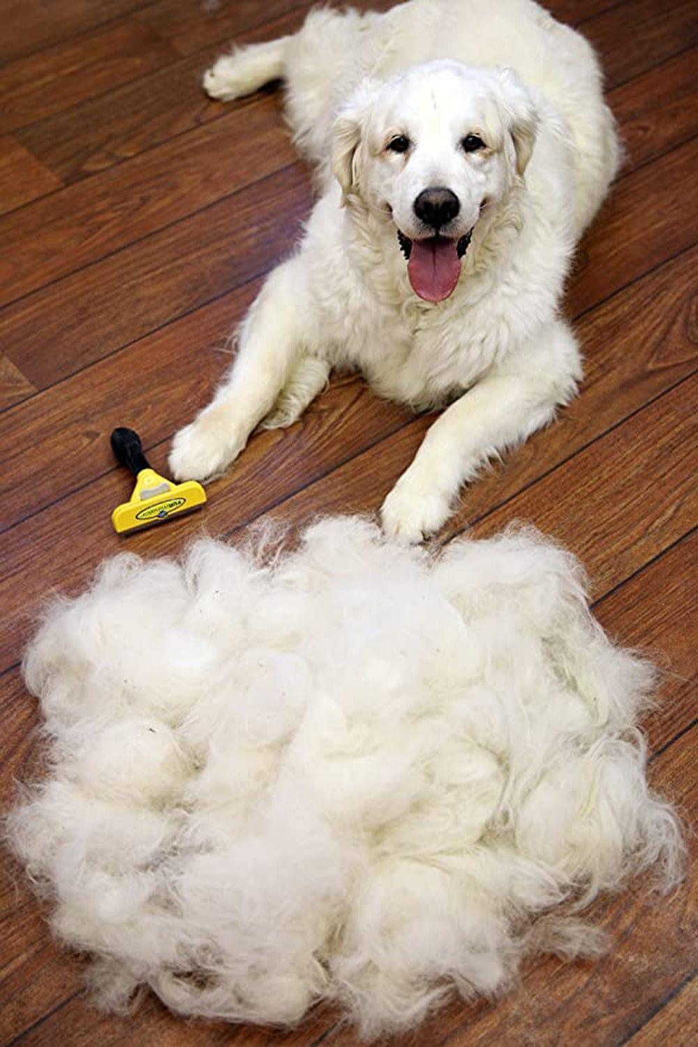 Βούρτσα είναι Κατάλληλη για Μεγάλα Σκυλιά medium dog 9-23kg - vip mix shop