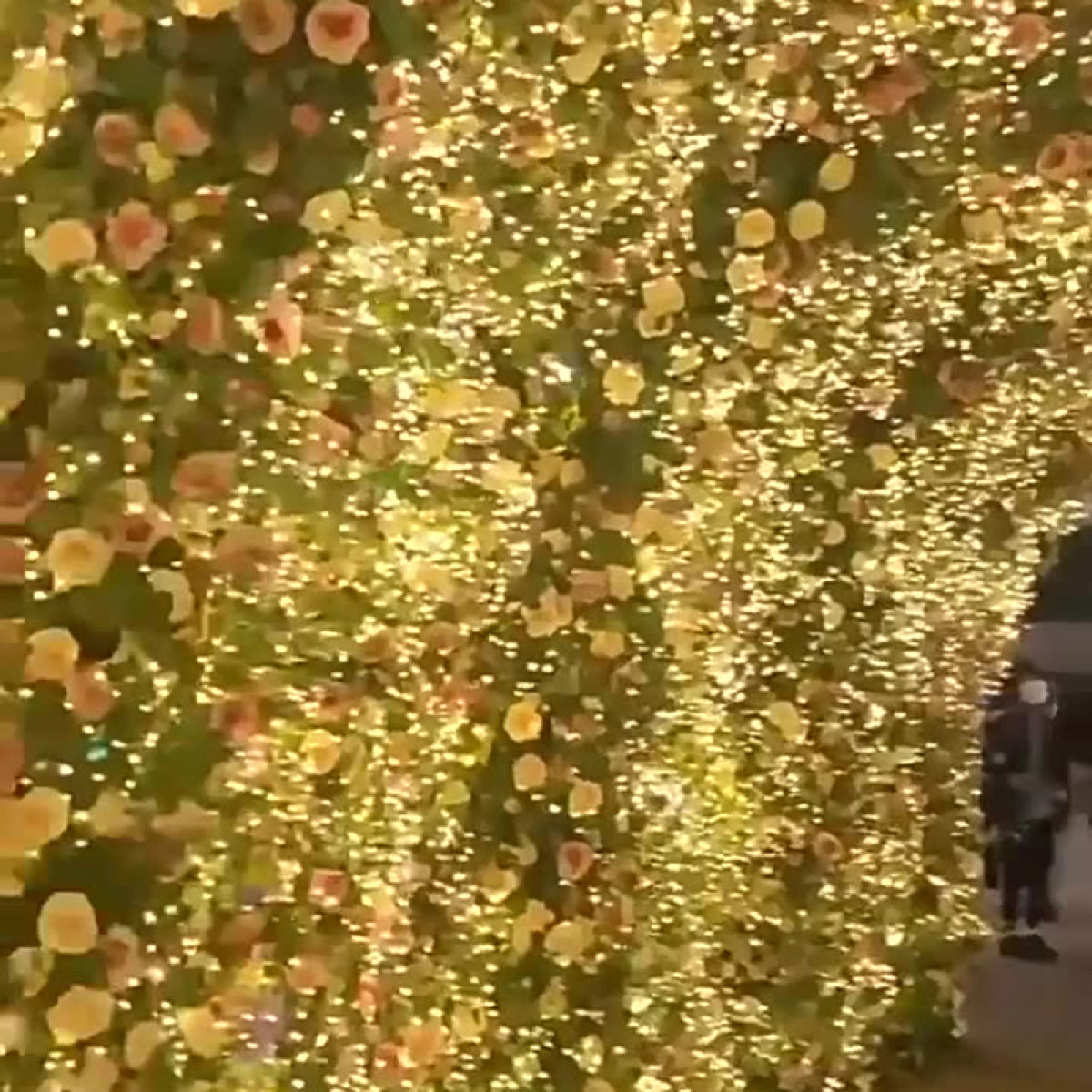 Χριστουγεννιάτικα Λαμπάκια 500 LED 50m με Τηλεχειριστήριο