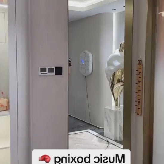 ΕΠΙΤΟΙΧΙΟ ΣΥΣΤΗΜΑ ΠΡΟΠΟΝΗΣΗΣ ΜΠΟΞ ΜΕ BLUETOOTH ΚΑΙ ΜΟΥΣΙΚΗ 